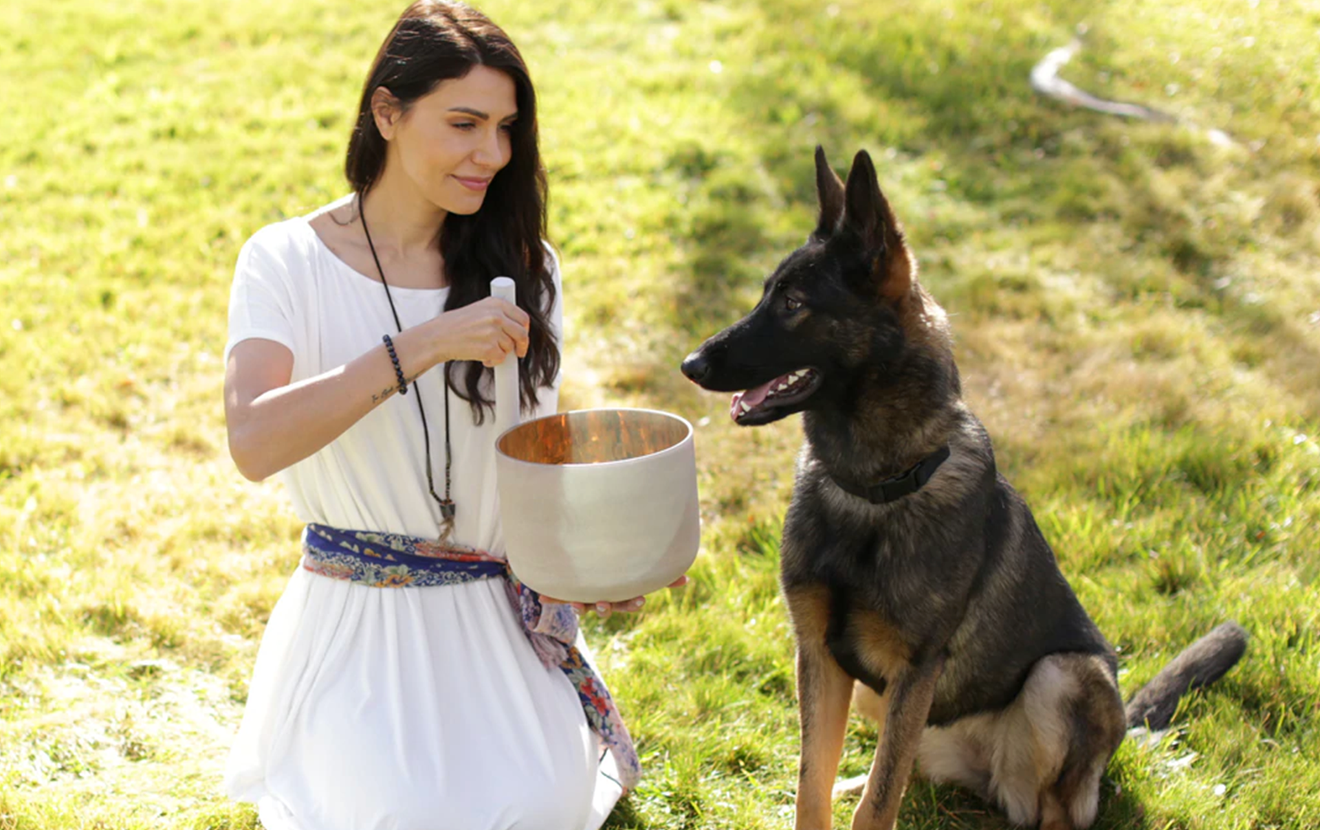 Energy Healing for Pets